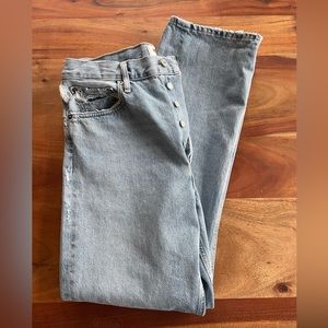 Agolde 90s Mid Rise Loose Fit Jean in Snapshot